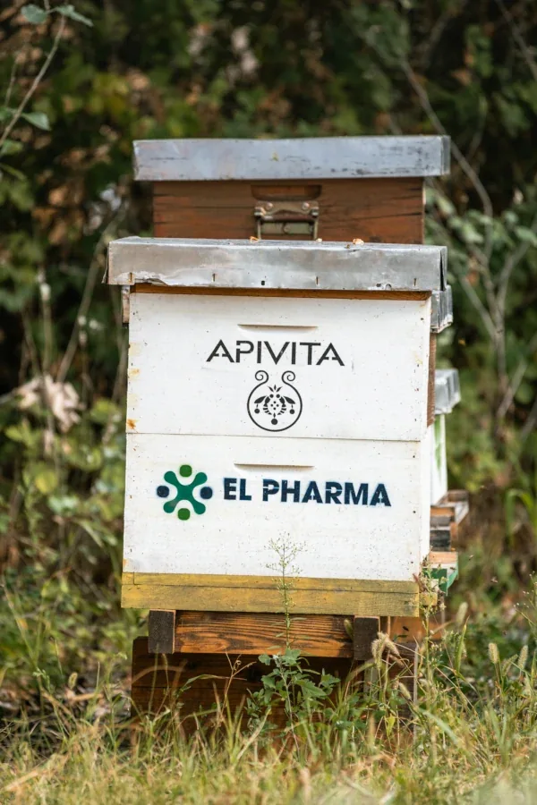 Košnica sa logotipima kompanija Apivita i El Pharma na prednjoj strani, u travi vrta