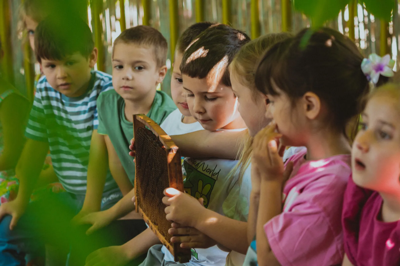 Children sitting side by side, one of them holding a frame of dark comb