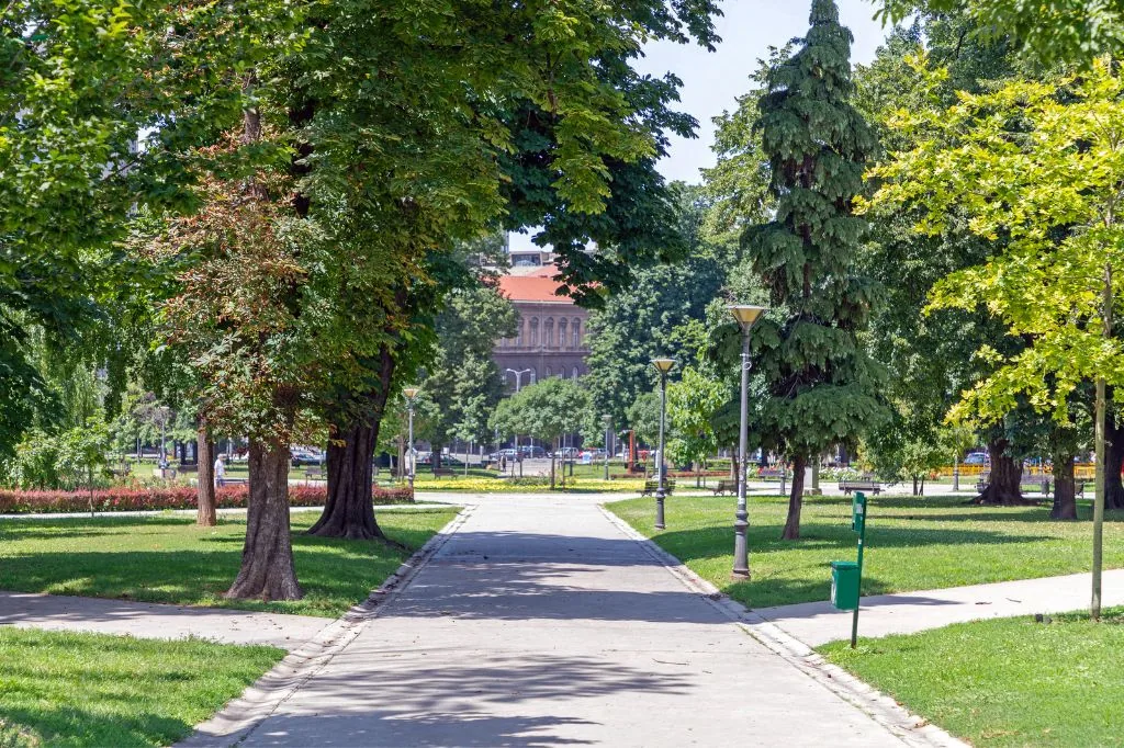 Gradski park sa popločanom stazom, pokošenom travom i visokim drvećem