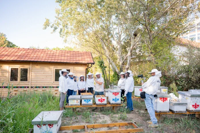 A group in white beekeeping suits gathering around the painted hives beside the timber cabin