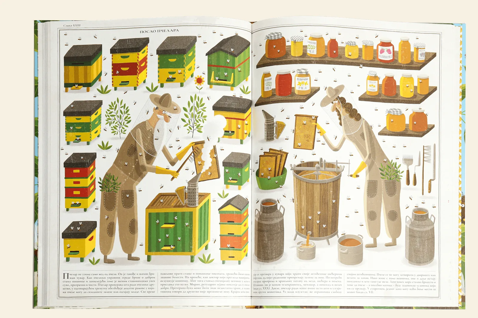 Otvorena knjiga Pčele na strani o poslu pčelara, sa ilustracijama košnica i tegli meda