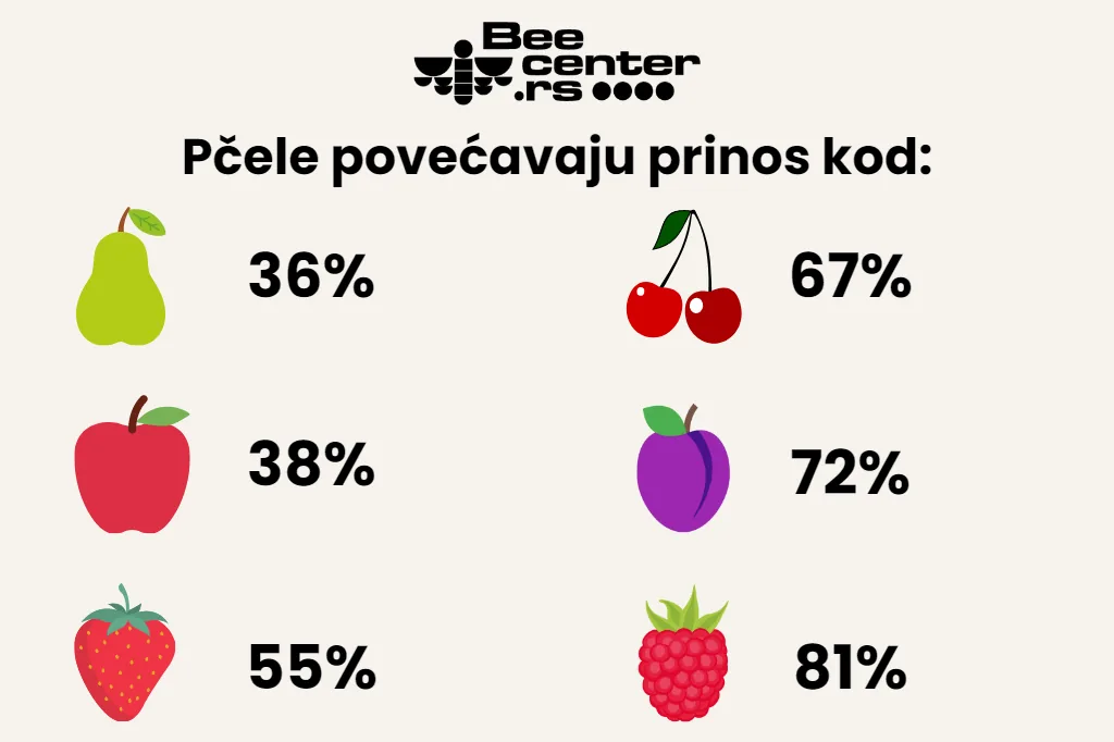 Infografika BeeCenter: pčele povećavaju prinos kod kruške 36%, jabuke 38%, jagode 55%, trešnje 67%, šljive 72% i maline 81%