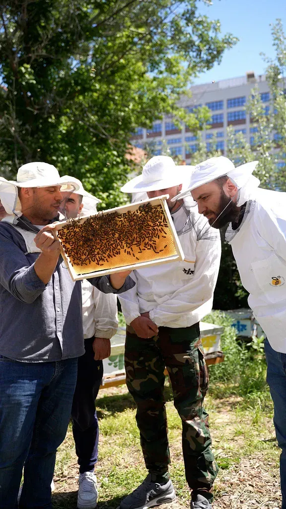 Grupa u pčelarskim odelima okupljena oko rama sa saćem, na radionici