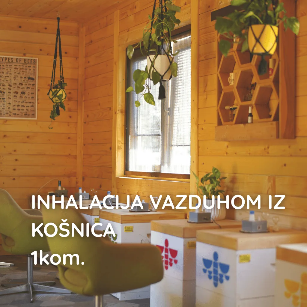 Fotelja i košnice u api komori, sa natpisom Inhalacija vazduhom iz košnica