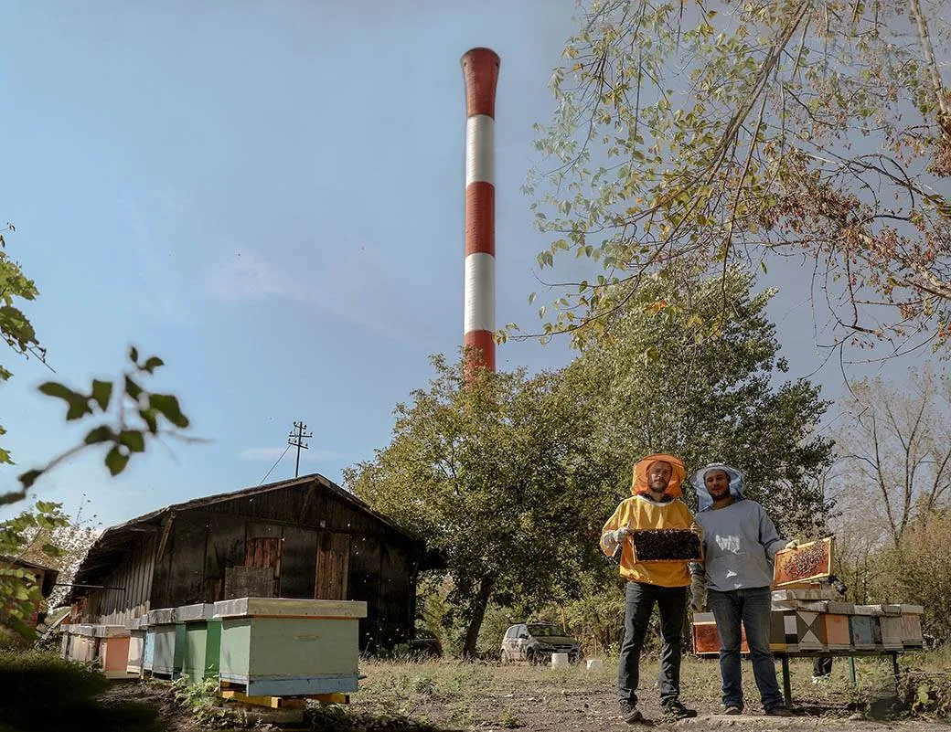 Pčelari sa ramovima punim pčela ispred košnica u Luci Beograd, iza njih crveno-beli dimnjak