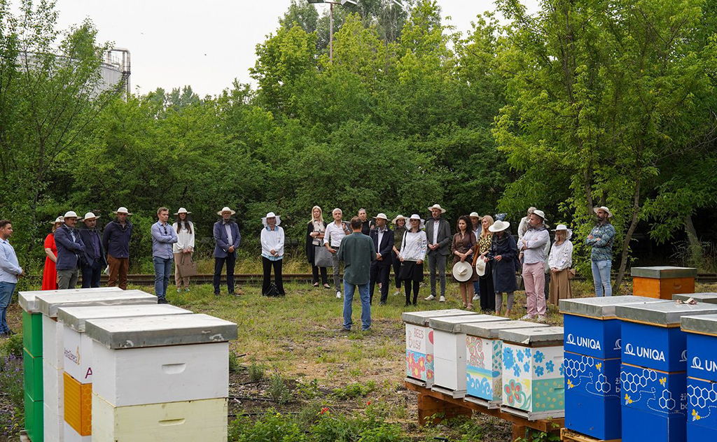 Prvi BIZNIS PČELINJAK u Beogradu: Sačuvajmo pčele ZAJEDNO